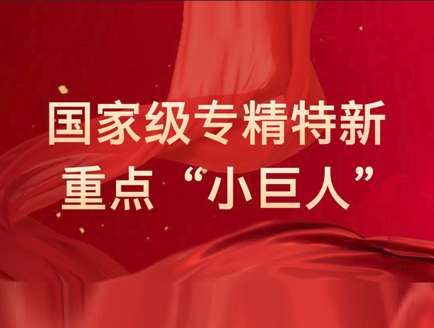 芯洲科技入選國家級(jí)專精特新重點(diǎn)“小巨人”企業(yè) 芯洲科技入選國家級(jí)專精特新重點(diǎn)“小巨人”企業(yè)